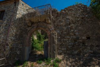 _DSC8891